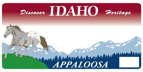 Idaho Appaloosa license plate