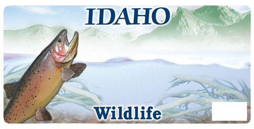 Idaho trout cutthroat license plate